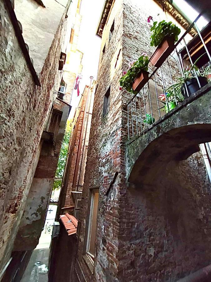 Piazza Napoleone Sweet Apartment Lucca Exterior foto